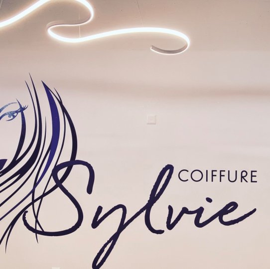 Servizio di Colorazione Capelli di Coiffure Sylvie