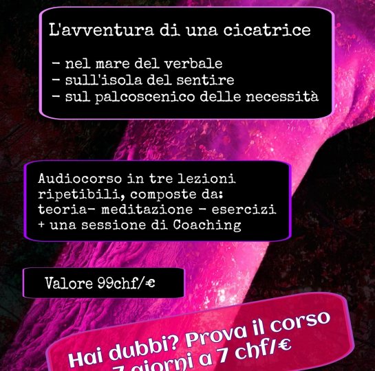 L'avventura di una cicatrice - CORSO